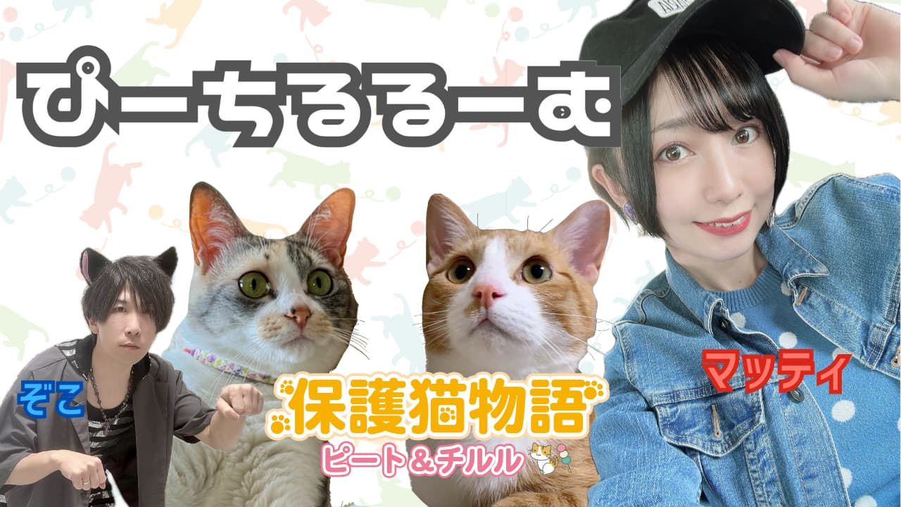 【里親募集中🏠】ぴーちるるーむ🐈🍡⚔️保護猫物語〜第2章〜